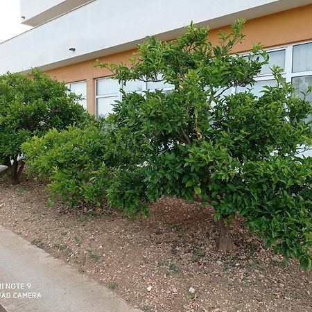 Studio Apartment With Balcony Трогир Экстерьер фото